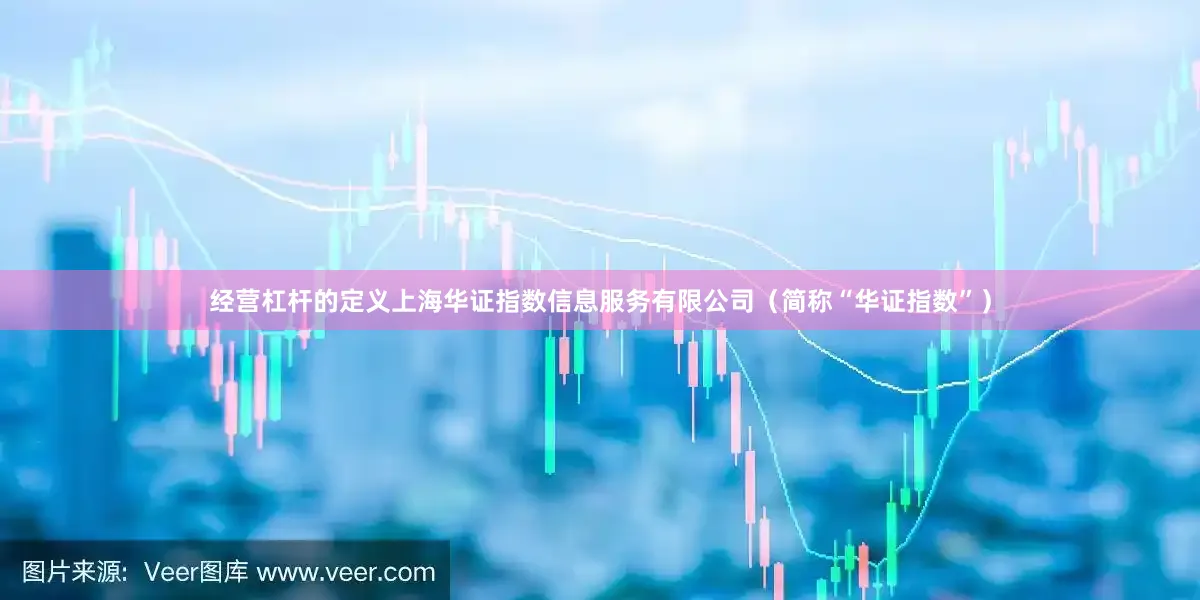 经营杠杆的定义上海华证指数信息服务有限公司（简称“华证指数”）
